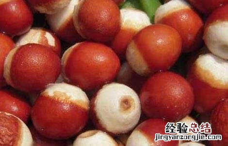 芡实哪里的最好 芡实哪里的最好?