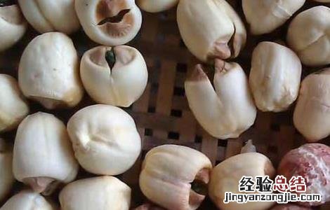 芡实哪里的最好 芡实哪里的最好?