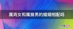 属鸡女和属猴男的婚姻相配吗 属猴女和属鸡男相配婚姻如何