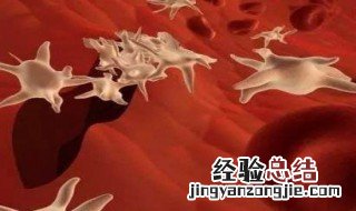 血小板具有凝血作用吗 血小板在凝血中的主要作用