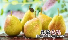 贡梨和雪梨的区别是什么 贡梨和雪梨有什么区别