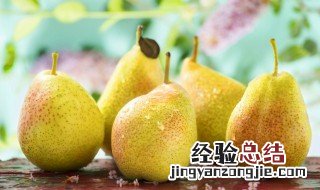贡梨和雪梨的区别是什么 贡梨和雪梨有什么区别