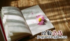 重整旗鼓什么意思 重整旗鼓什么意思丫头