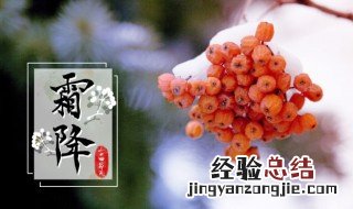 形容霜降的句子 关于形容霜降的句子