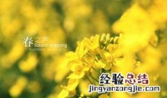 春之声是一篇运用什么手法写成的小说 春之声是运用什么手法写成的小说
