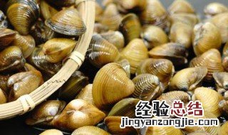黄蚬保存方法 黄蚬子怎么保存时间久