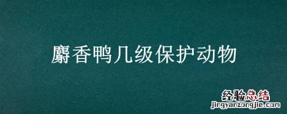 麝香鸭几级保护动物 麝香鸭几级保护动物可以吃吗