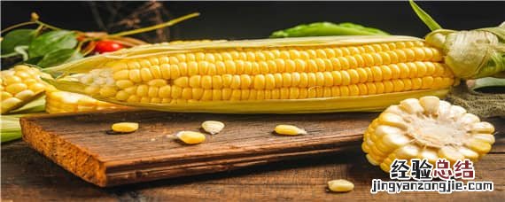 机玉7号玉米品种介绍 机玉7号玉米品种介绍图片