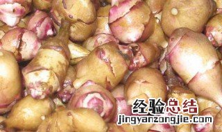 鬼子姜怎么储存 保存鬼子姜流程