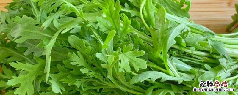鹅菜又叫什么菜 鹅吃的菜叫什么名字