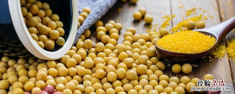 大豆类食物有哪些营养价值?对健康有哪些益处? 大豆类食物有哪些