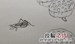 纺织娘是什么昆虫?它总是不停地大吵大闹,无一刻安静 纺织娘是什么昆虫名字
