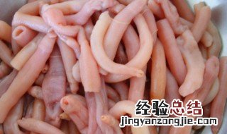 海肠能生吃吗 海肠生吃好吗