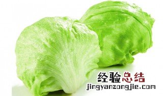 圆生菜是发物吗 圆生菜属于发物吗