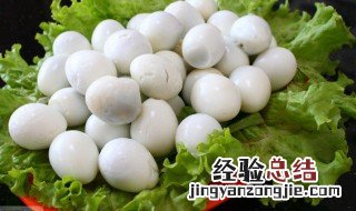 鹌鹑蛋是什么 鹌鹑蛋简介