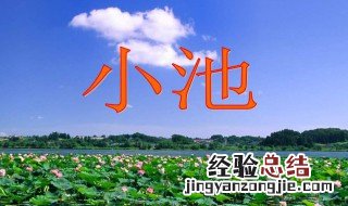 小池这首诗写的是什么季节什么地方的景色 小池这首诗写的是什么季节什么地方