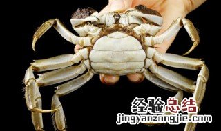 海蟹蒸多久最佳时间 海蟹蒸多久