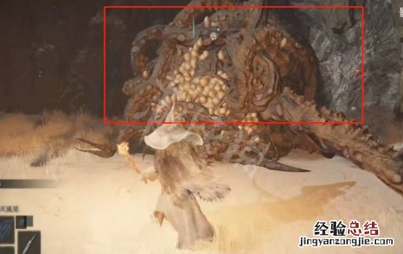 艾尔登法环攻略 艾尔登法环老头环安身洞窟位置