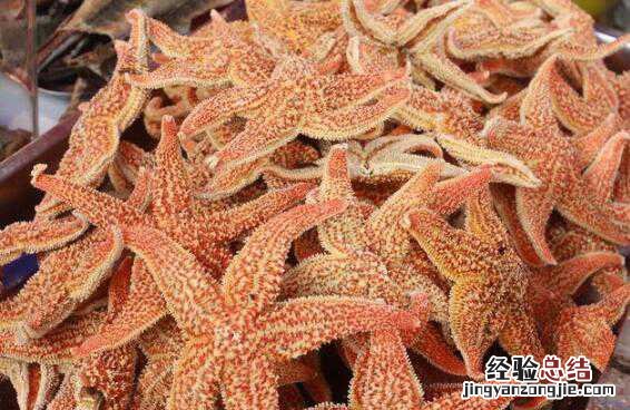 海星的功效与作用,海星的食用方法方式