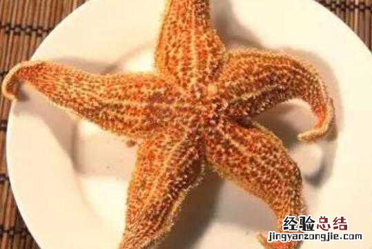 海星的功效与作用,海星的食用方法方式