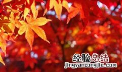 关于秋天的作文800字 八年级关于秋天的作文800字
