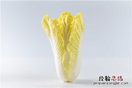 种白菜的方法怎么种 种白菜的方法和步骤