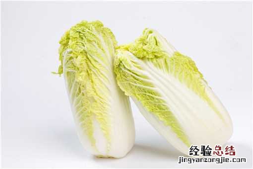 种白菜的方法怎么种 种白菜的方法和步骤