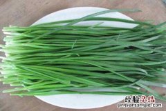 韭菜生姜汁的功效与作用禁忌 韭菜生姜汁的功效与作用
