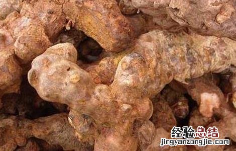 茯苓产地在哪里 云南茯苓产地在哪里