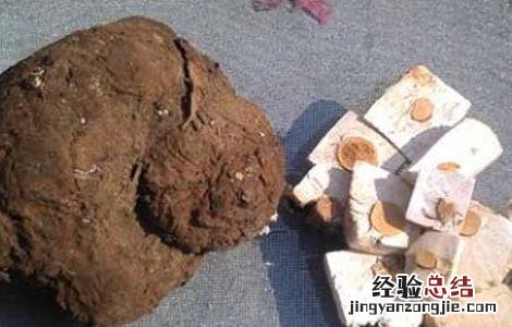 茯苓产地在哪里 云南茯苓产地在哪里