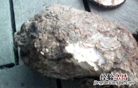 茯苓高产种植技术 茯苓高产栽培技术