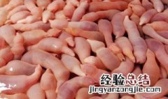 海肠的功效与作用 海肠的功效与作用是什么