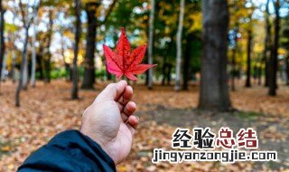 关于秋天的作文题目唯美 关于秋天的作文题目