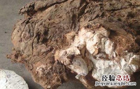茯苓是什么东西做成的 茯苓是什么东西