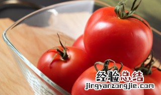西红柿什么时间种好 西红柿什么时候种好怎么种