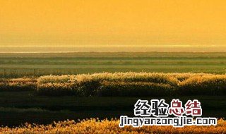 江西适合种什么药材经济价值高 江西适合种什么