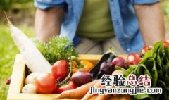 萝卜可以移栽吗时机 萝卜可以移栽吗
