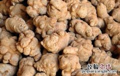 三七的几头是啥意思 三七头数是什么意思