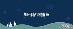 如何粘网捕鱼 如何用粘网捕鱼
