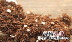 营养土怎么配比 营养土怎么配