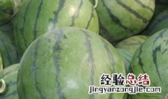 西瓜怎样打尖 西瓜怎么打尖