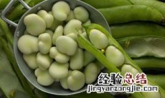 蚕豆炒什么好吃 给大家介绍一下