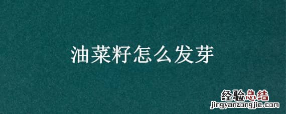 油菜籽 发芽 油菜籽怎么发芽