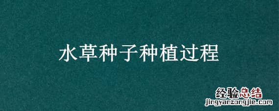 水草种子种植过程记录 水草种子种植过程