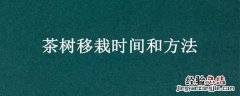 茶树移栽时间和方法视频 茶树移栽时间和方法