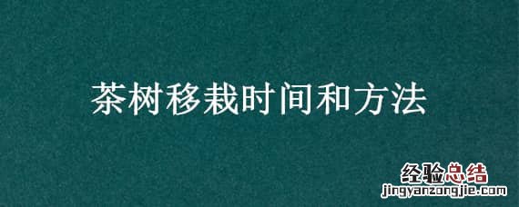 茶树移栽时间和方法视频 茶树移栽时间和方法