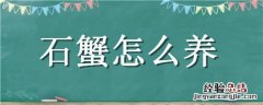 石蟹怎么养活 石蟹怎么养