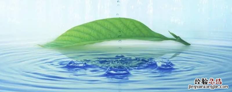 300ml水大概有多少 300ml水大概有多少克