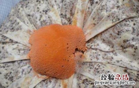食用菌链孢霉如何根除 灵芝链孢霉防治方法