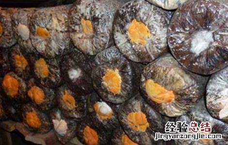 食用菌链孢霉如何根除 灵芝链孢霉防治方法